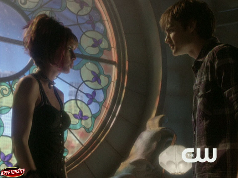 Smallville Idol Wonder Twins David Gallagher Allison Scagliotti