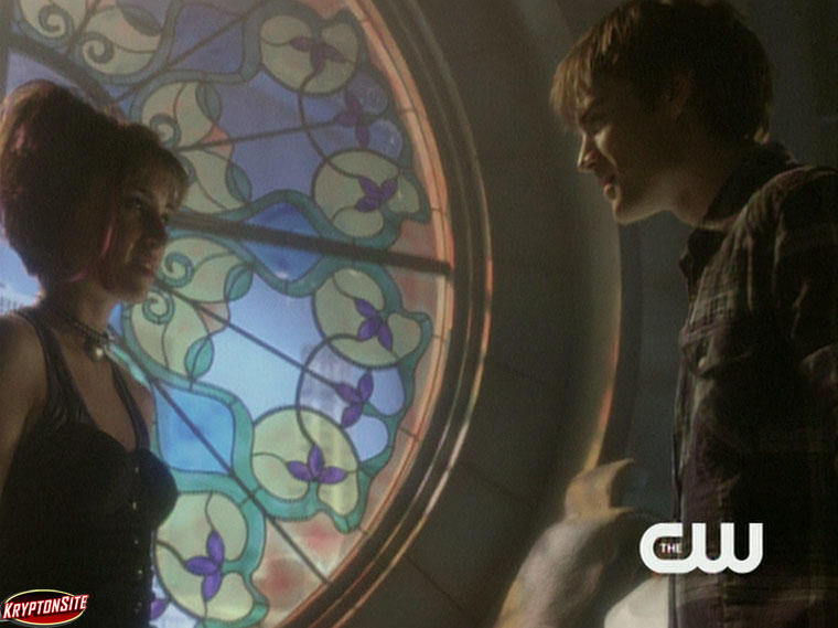 Smallville Idol Wonder Twins David Gallagher Allison Scagliotti